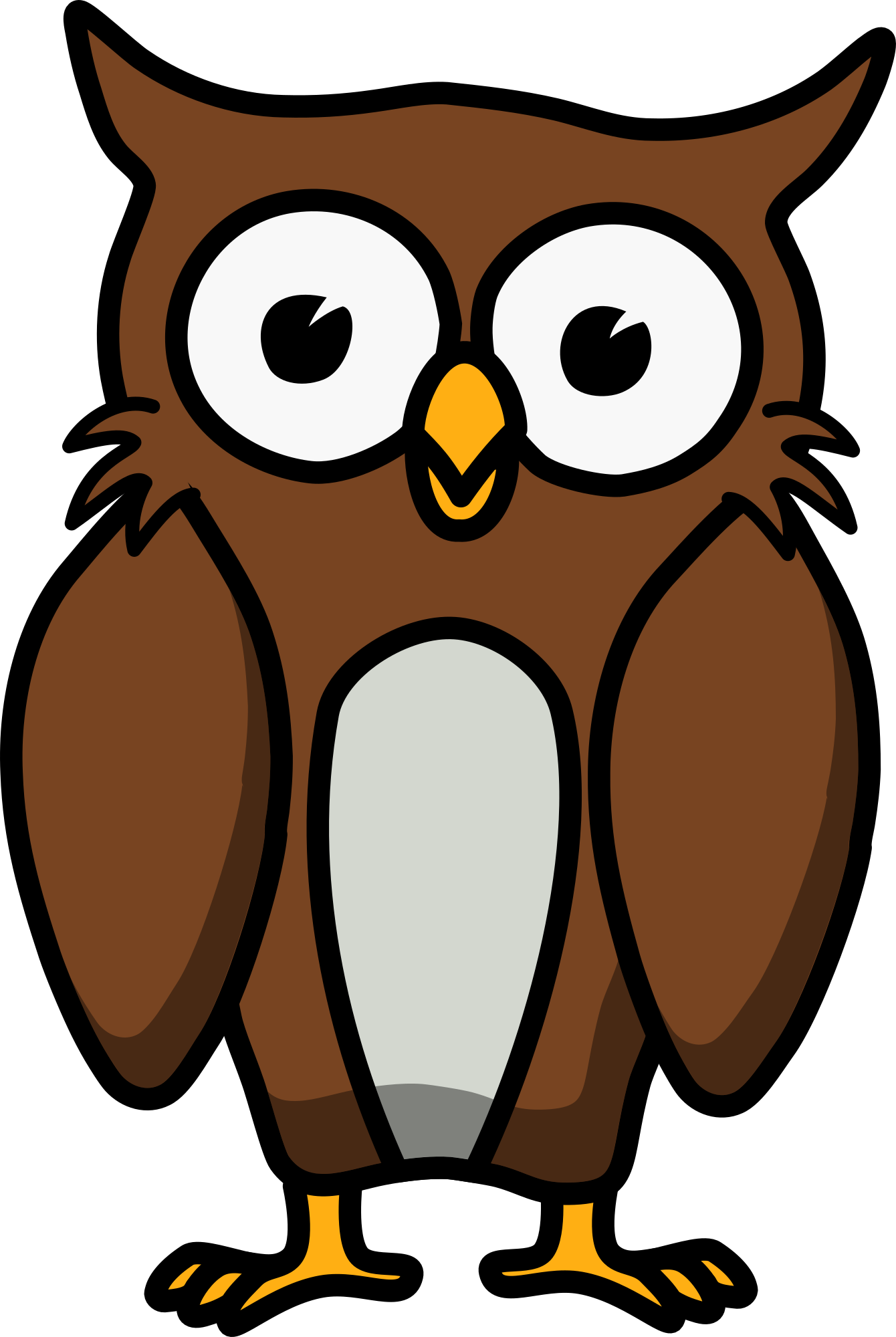 owl